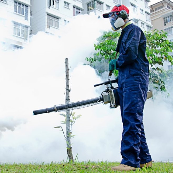 Pest Control Service