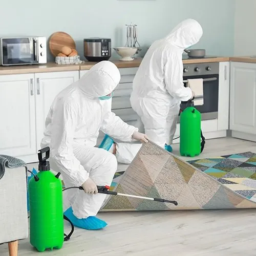 Pest Control Spraying